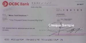 Pro & Easy Cheque Writer Software